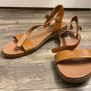Steve Madden Sandal